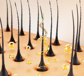 The best oil for hair growth