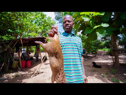 AFRICAN JUNGLE FOOD!! Wild & EXOTIC Delicacy in Ivory Coast!