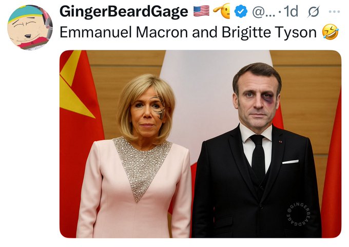 Emmanuel Macron and Brigitte Tyson Meme