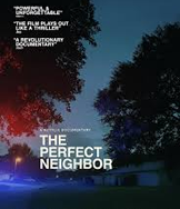 The Perfect Neighbour